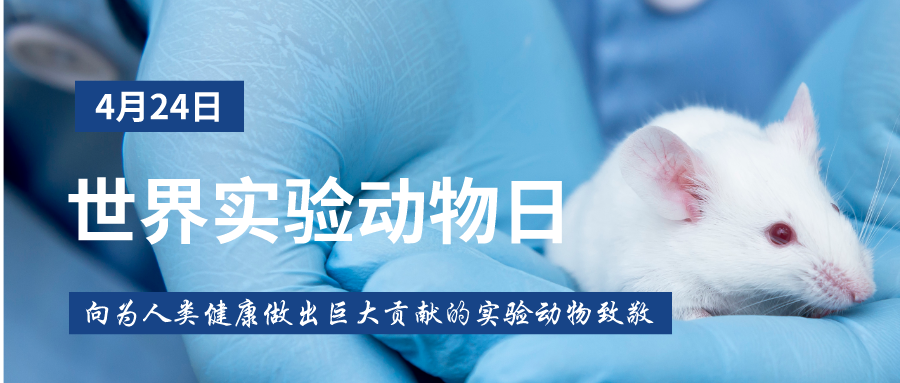美狮贵宾会·(中国)官方网站
